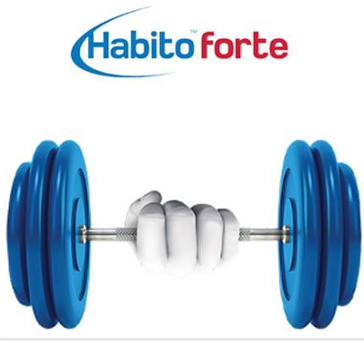 Lastra Gyproc Habito Forte Habito Forte