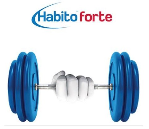 Lastra Gyproc Habito Forte Habito Forte